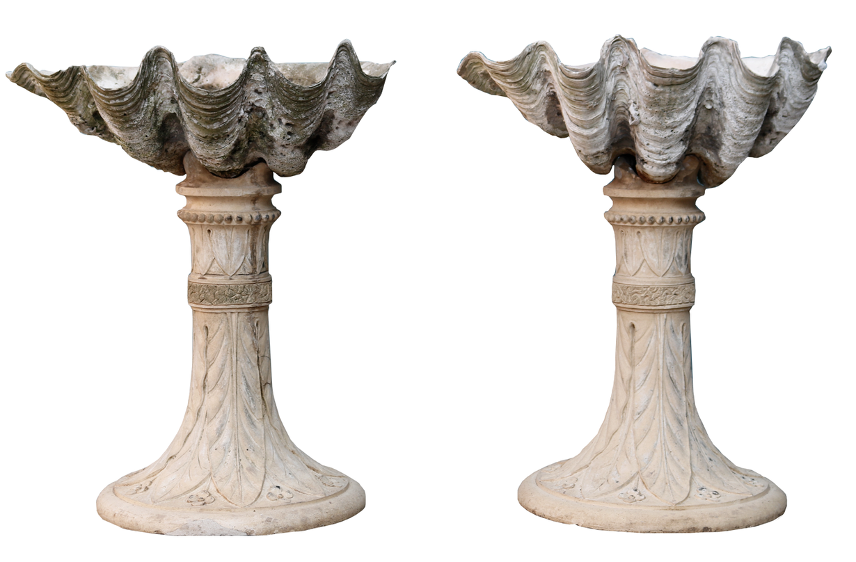 Pair of Victorian Clam Shell Planters or Fountains