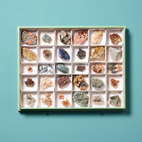 Collection of Museum Mineral Specimens in Display Case